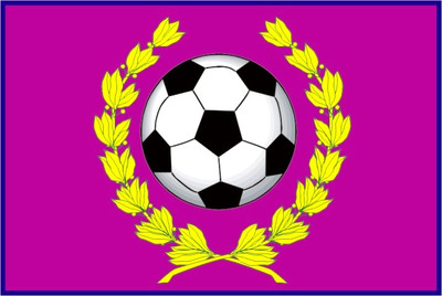 Кубок закрытия сезона г.о Серпухов 2021 года по футболу  (8х8) среди мужских команд.